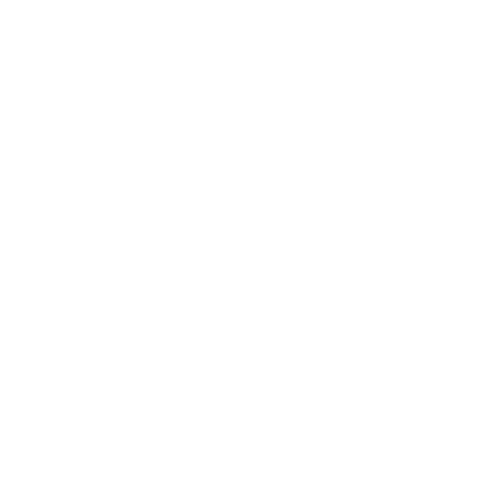 Software Development